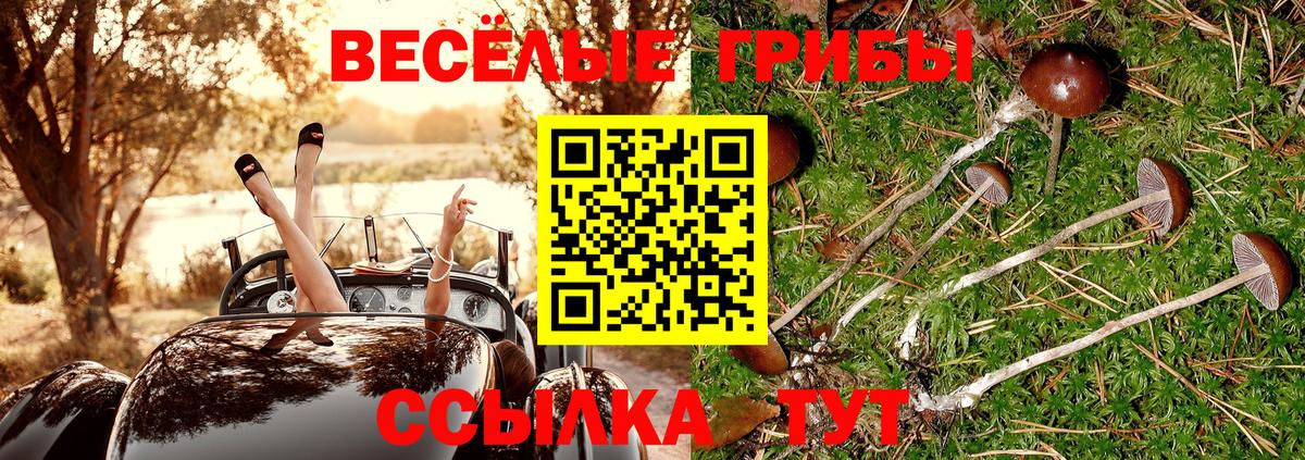 Псилоцибиновые грибы Cubensis Спасск-Дальний
