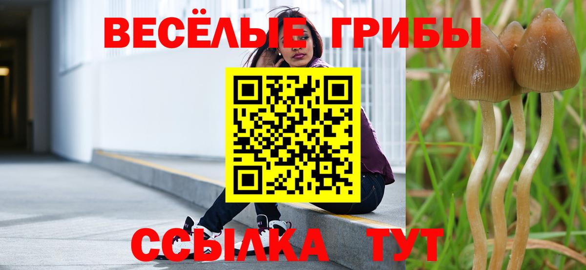 купить наркотики цена  Псилоцибиновые грибы Psilocybe  Вход с VPN  Спасск-Дальний  Галлюциногенные грибы мухоморы 